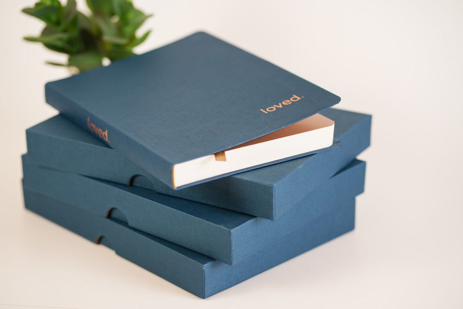 Each journal comes packaged in a custom, matching box.